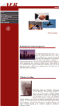 Mobile Screenshot of aergroup.com